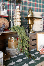 Alpine Cedar Hanging Stem