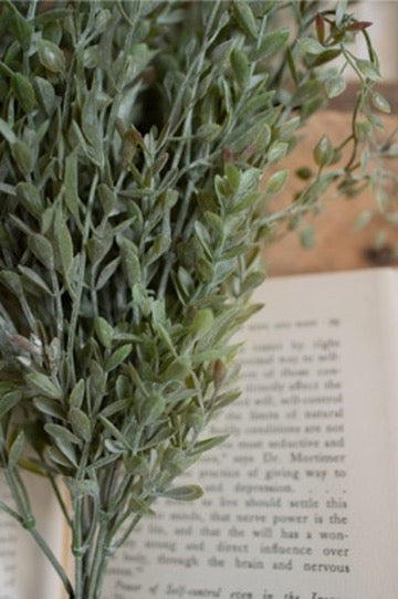 Mixed Sage Bush