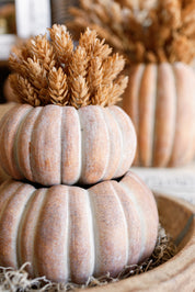 Cinderella Pumpkin Pot