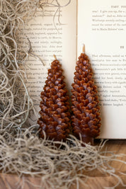Unscented Pinecone Taper Candles Creative Co-Op