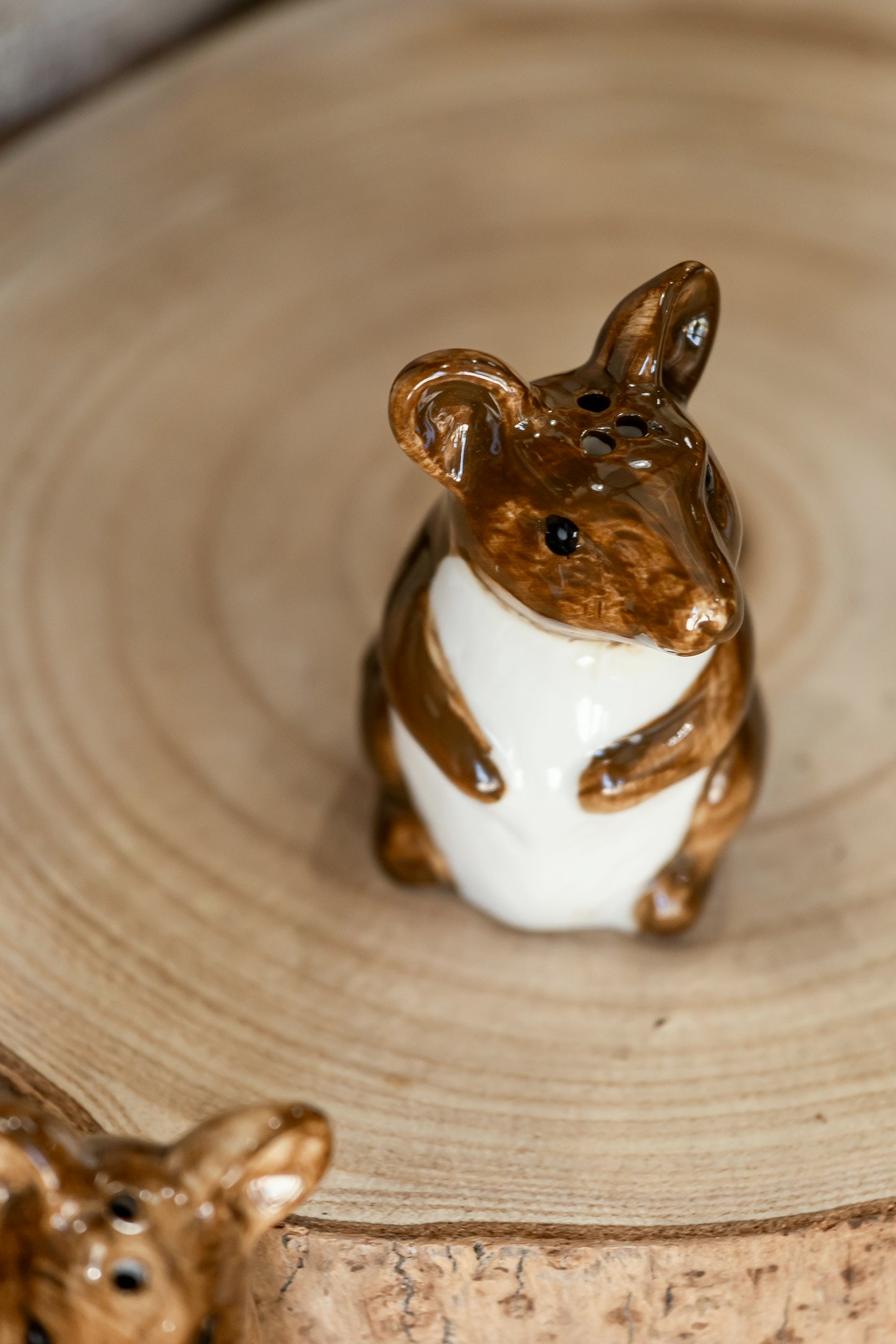 Hand-Painted Stoneware Mouse Salt and Pepper Shakers Creative Co-Op