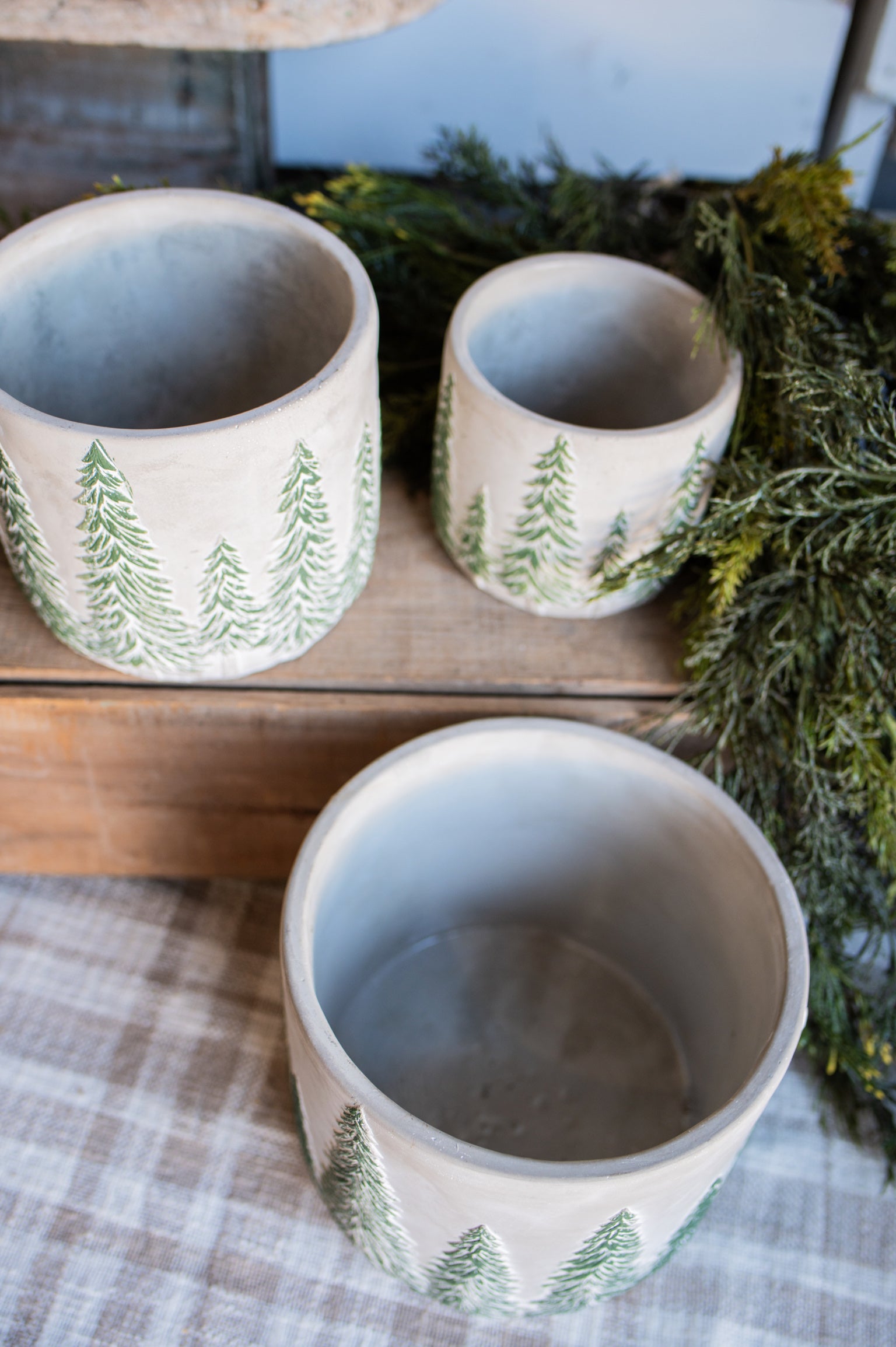 Concrete Tree Farm Pot