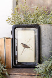 Bird Framed Picture The Little Burlap Barn®