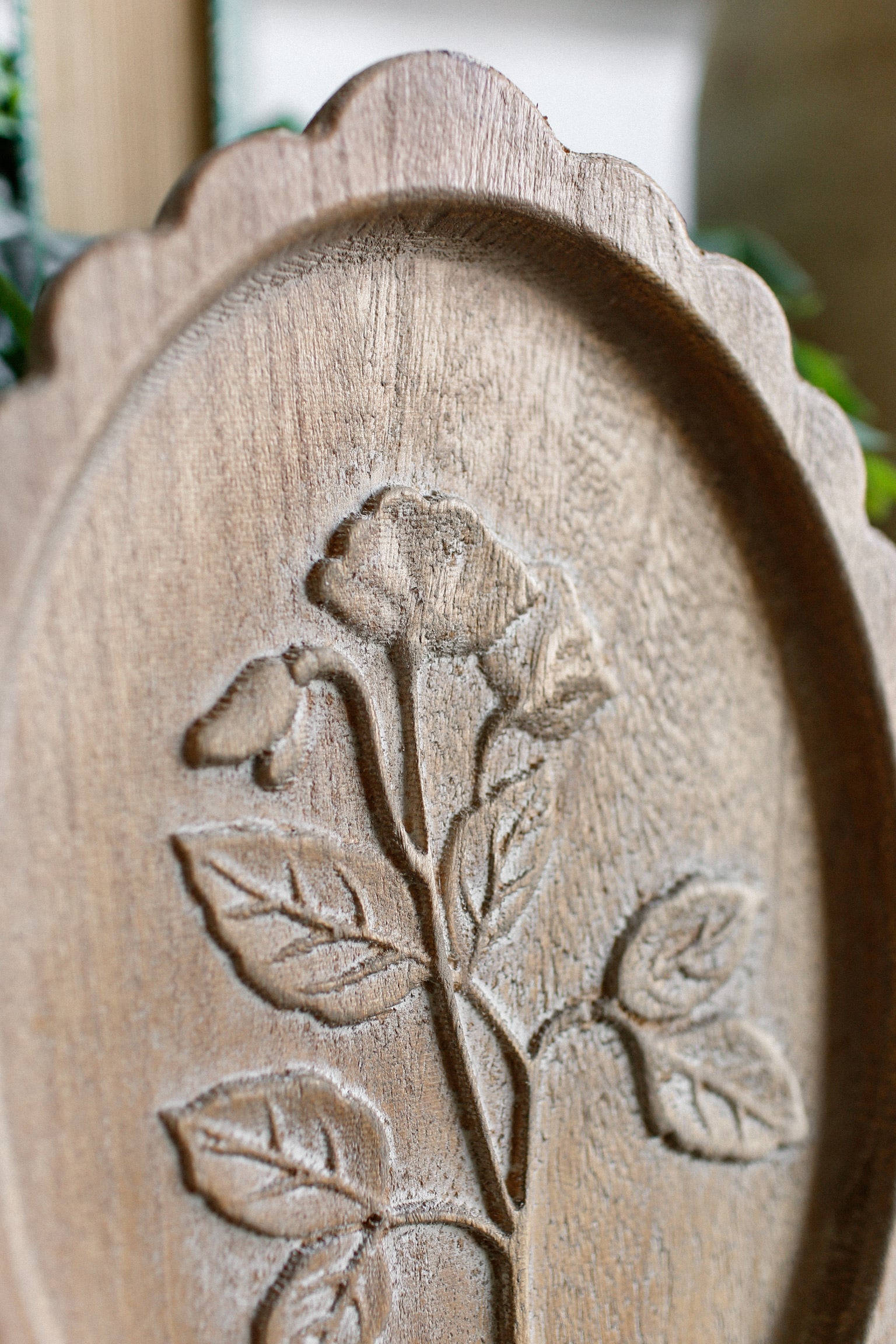 Botanical Scalloped Wall Art