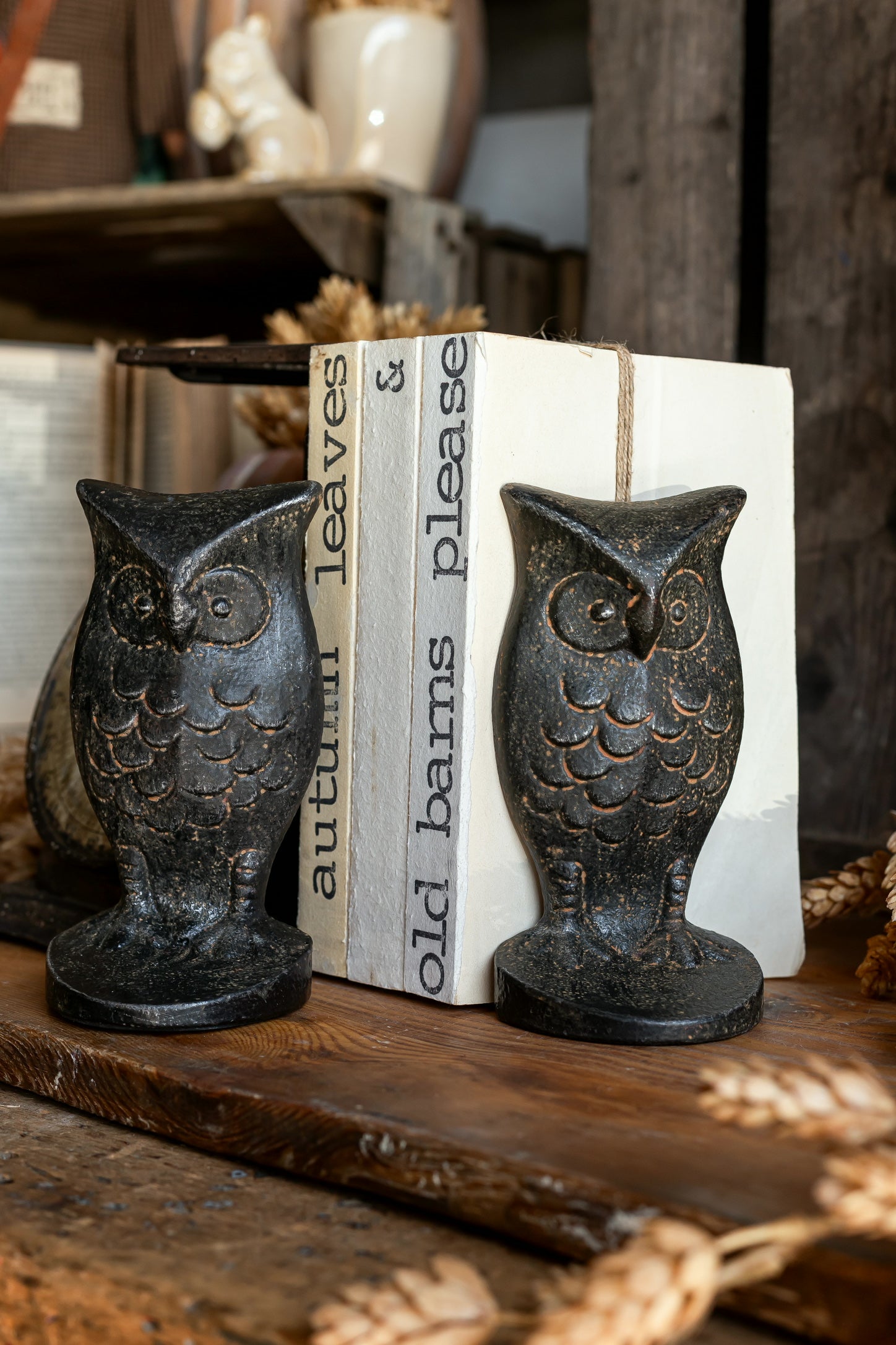 Cast Iron Owl Shaped Bookends Creative Co-Op