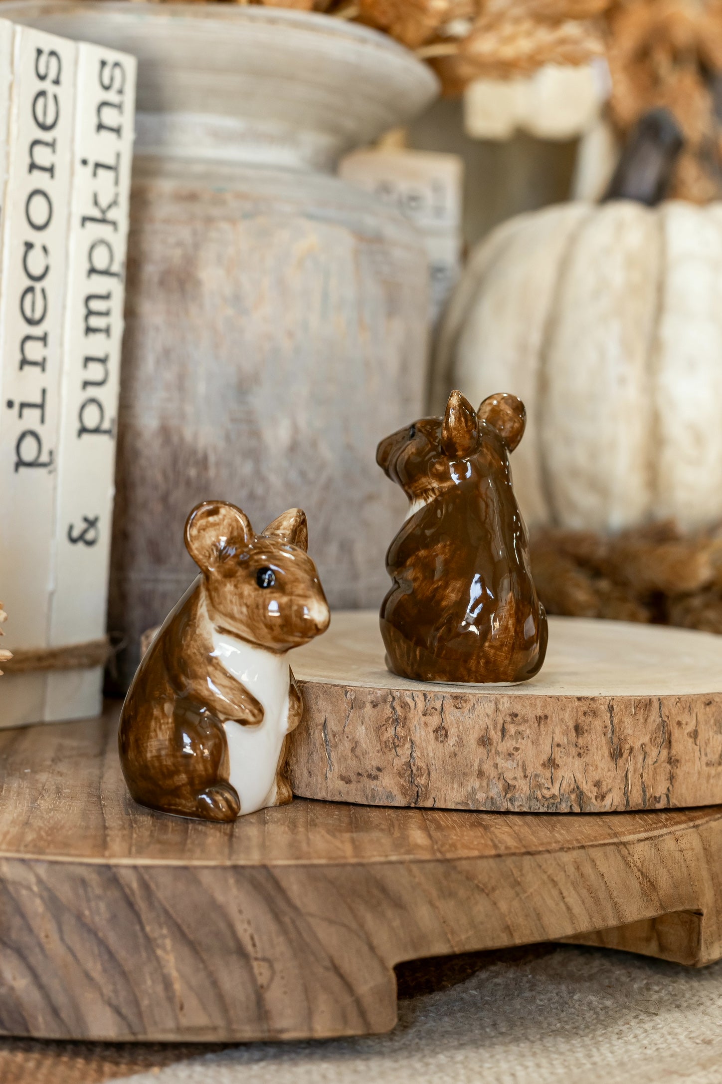 Hand-Painted Stoneware Mouse Salt and Pepper Shakers Creative Co-Op