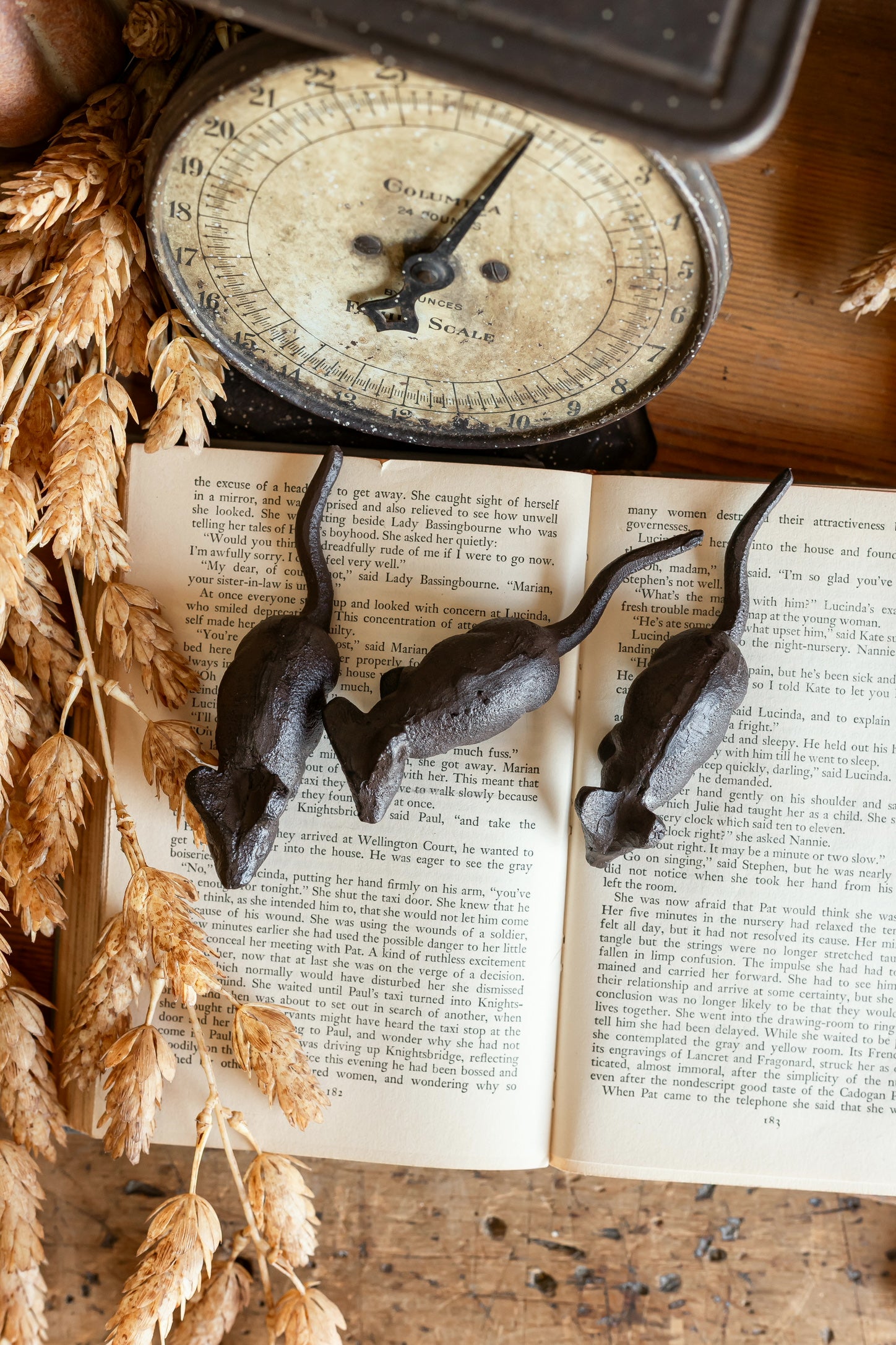 Cast Iron Mouse Creative Co-Op