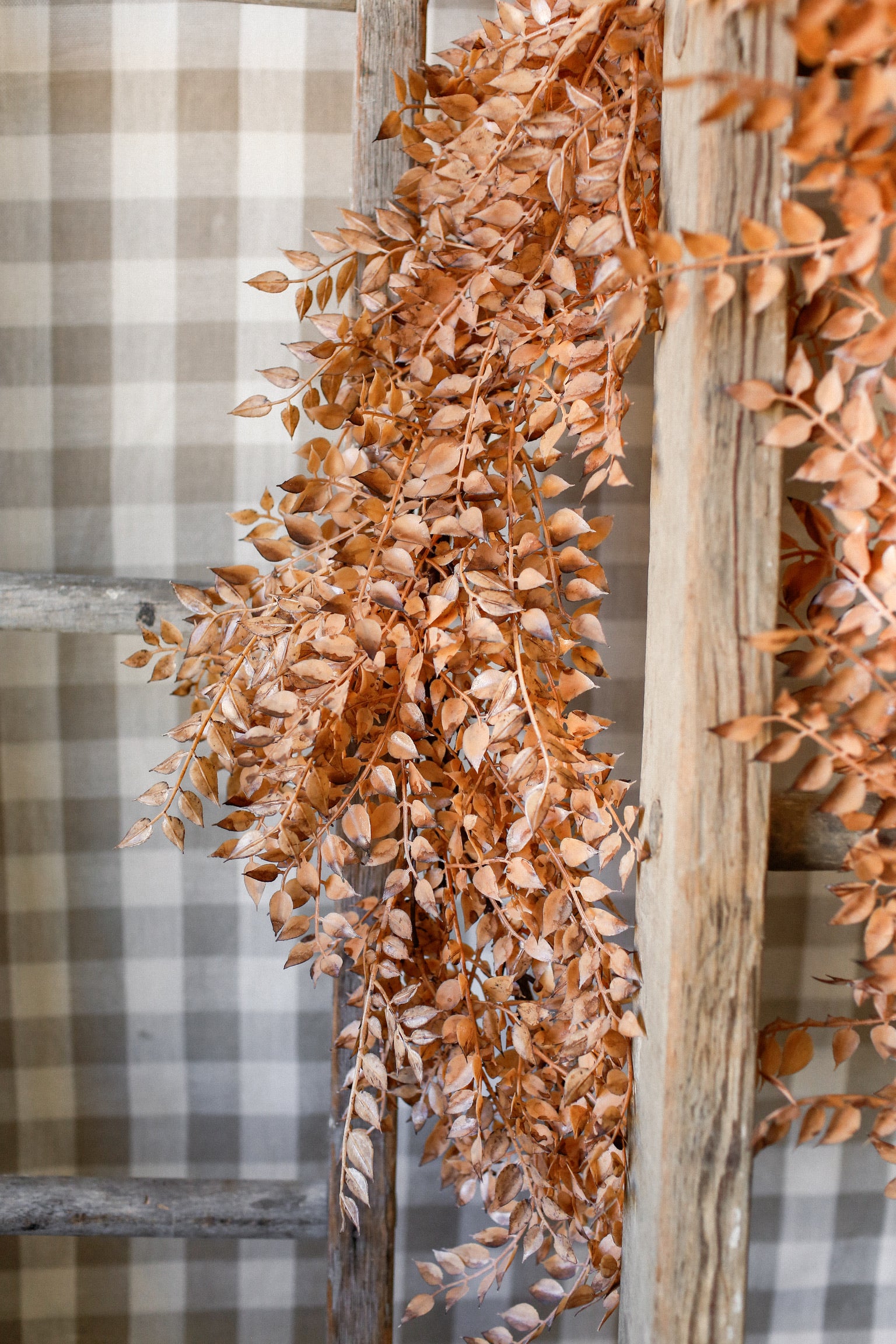 Bohicket Garland