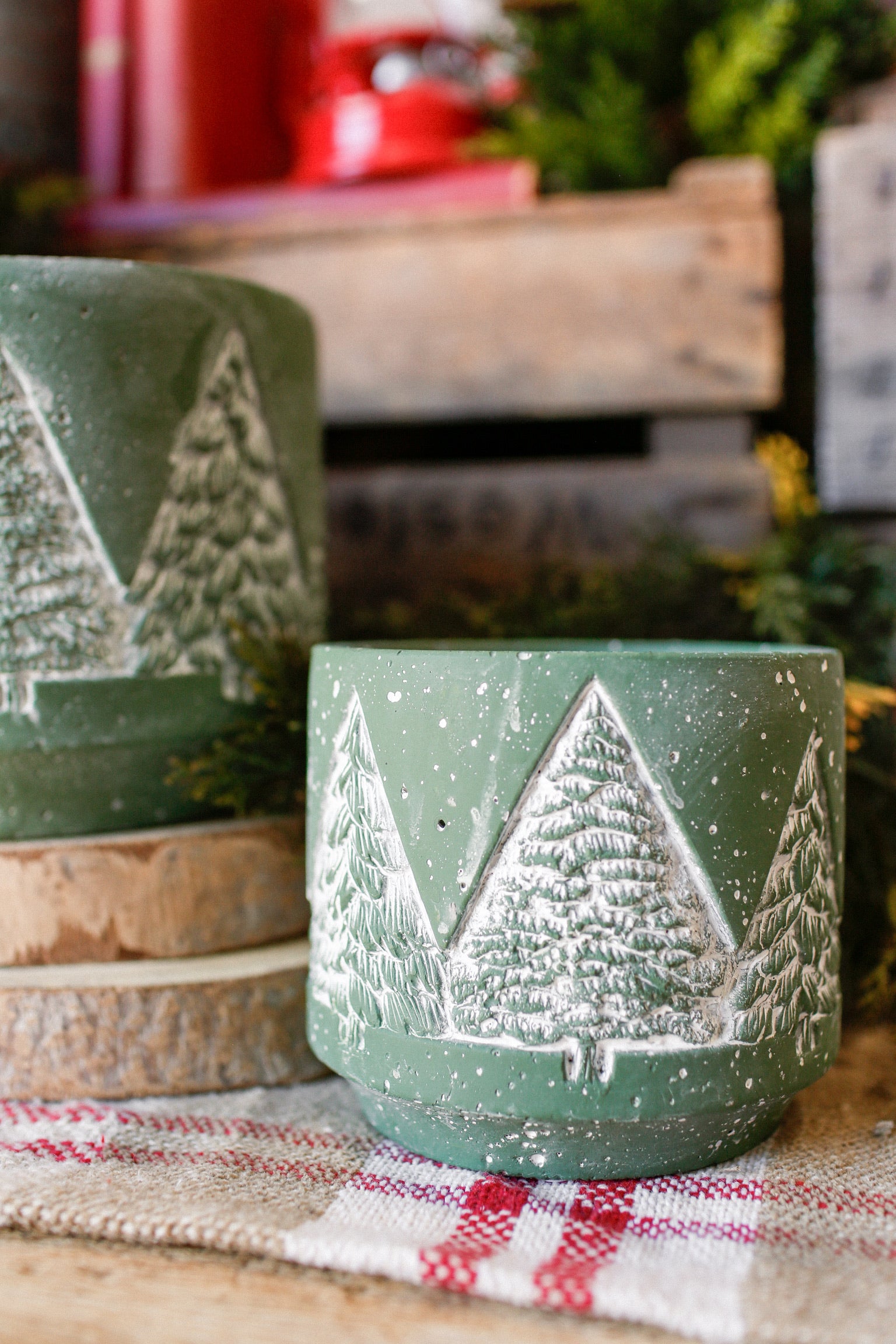 Concrete Evergreen Tree Pot