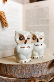 Vintage Ceramic Owl S&P Shakers