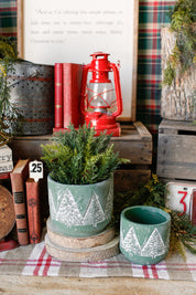 Concrete Evergreen Tree Pot