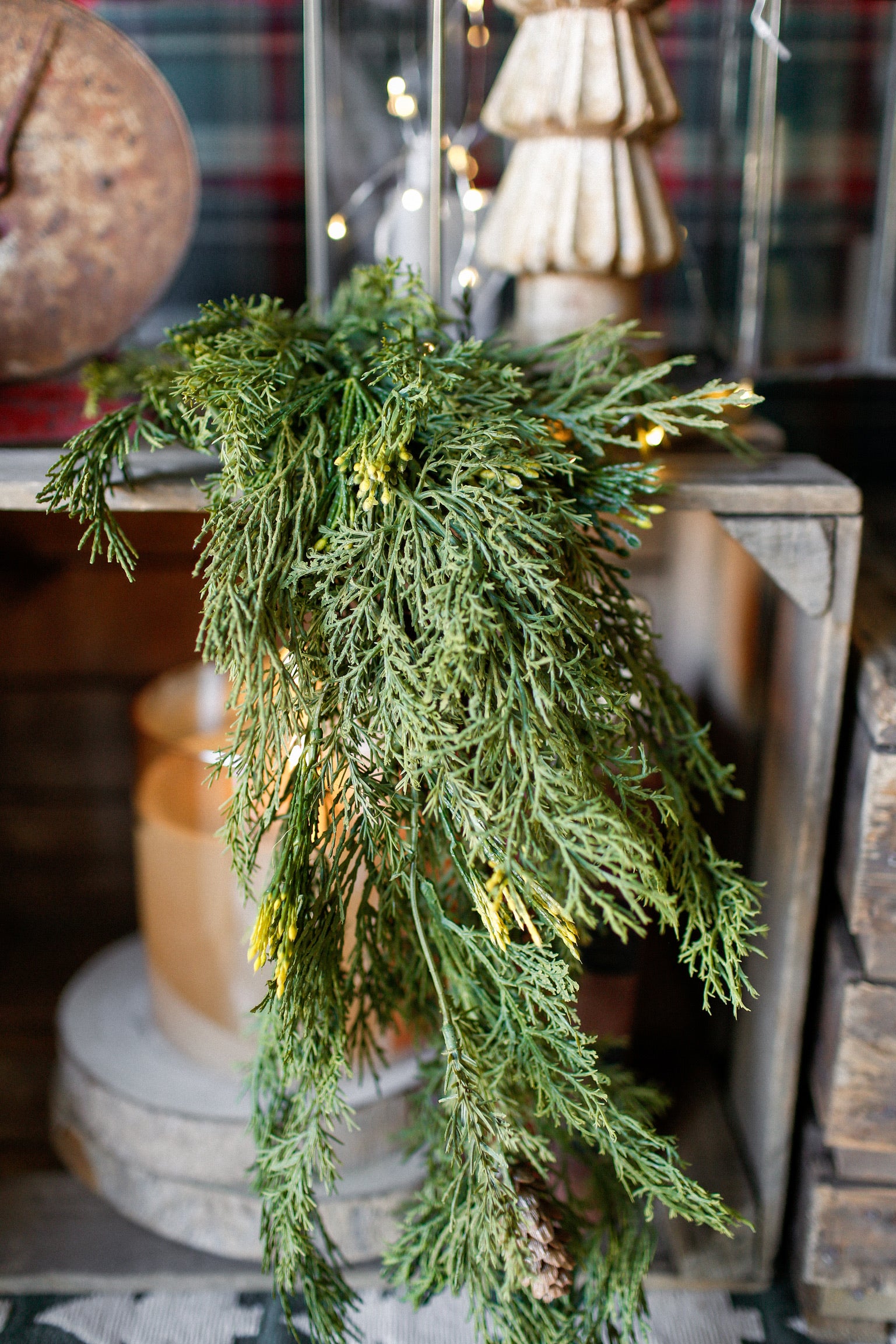 Alpine Cedar Hanging Stem