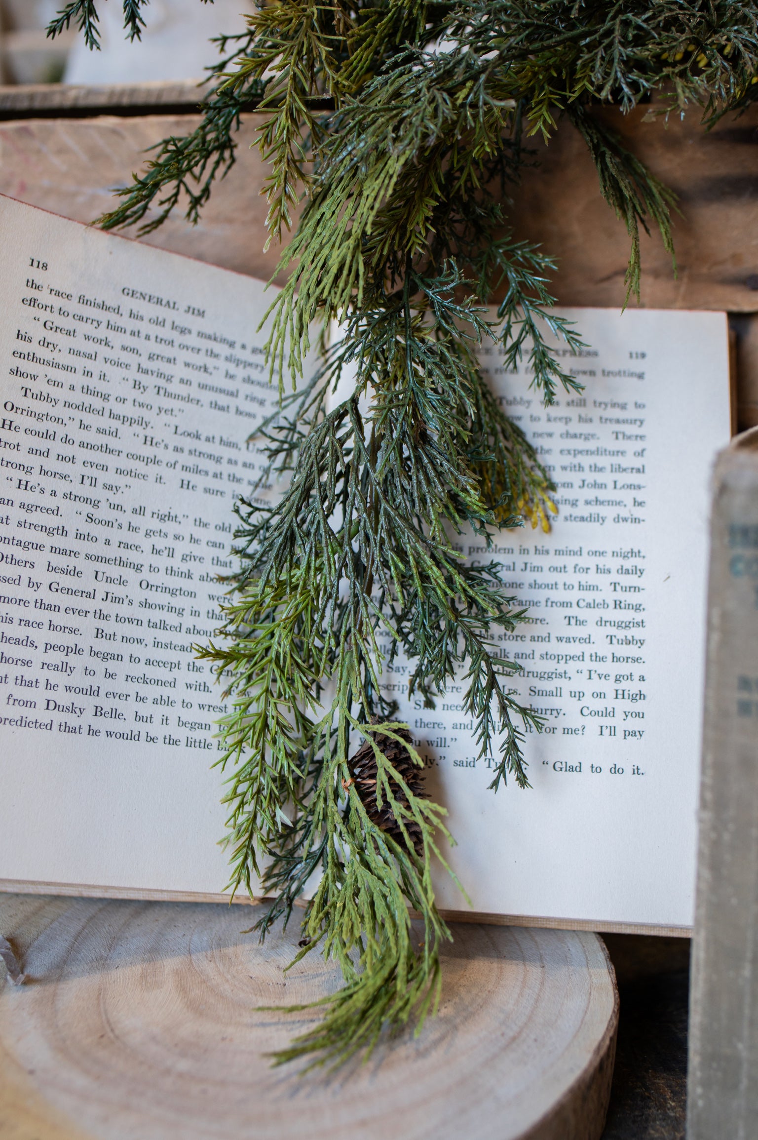Mixed Cedar Hanging Stem
