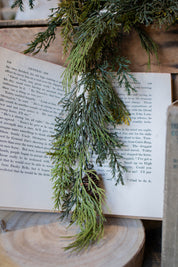 Mixed Cedar Hanging Stem