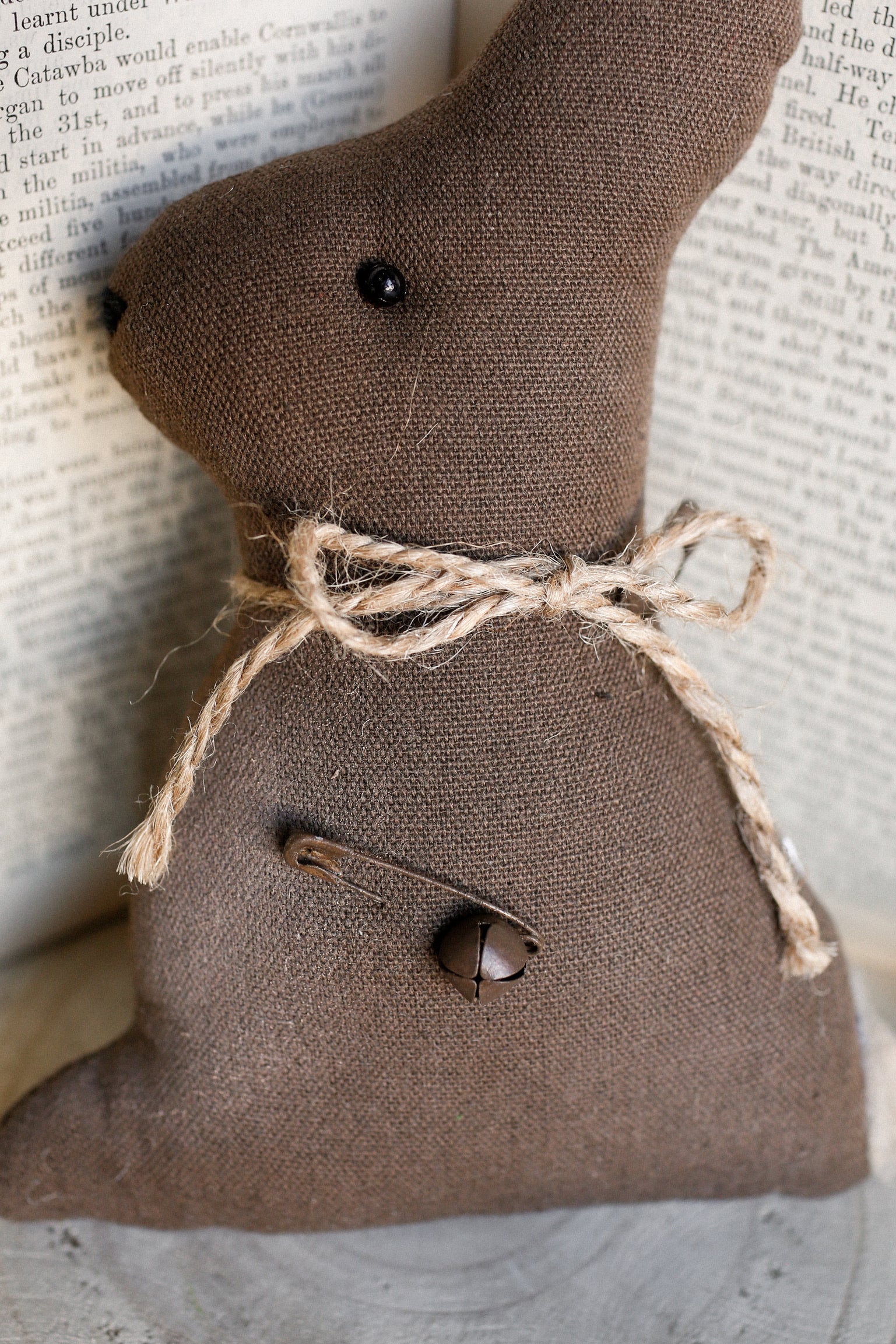 Stuffed Chocolate Bunny