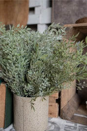 Mixed Sage Bush