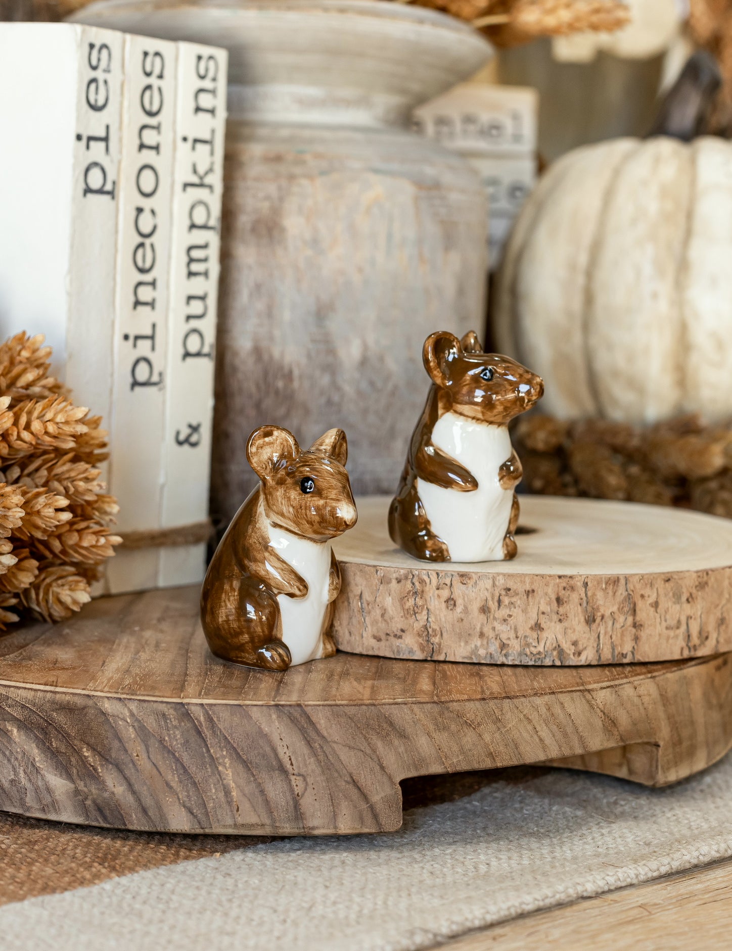 Hand-Painted Stoneware Mouse Salt and Pepper Shakers Creative Co-Op