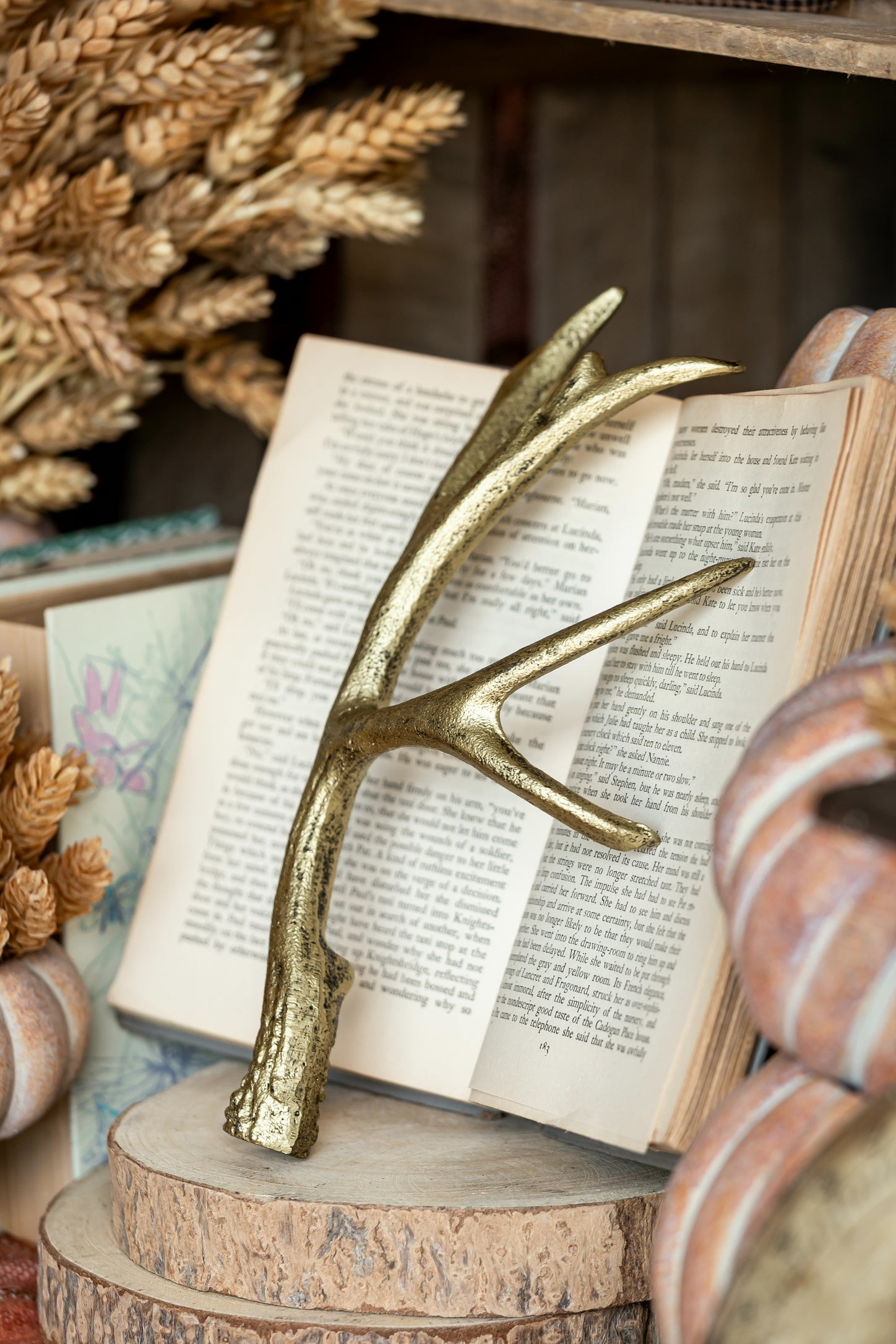 Gilded Cast Iron Antler Creative Co-Op
