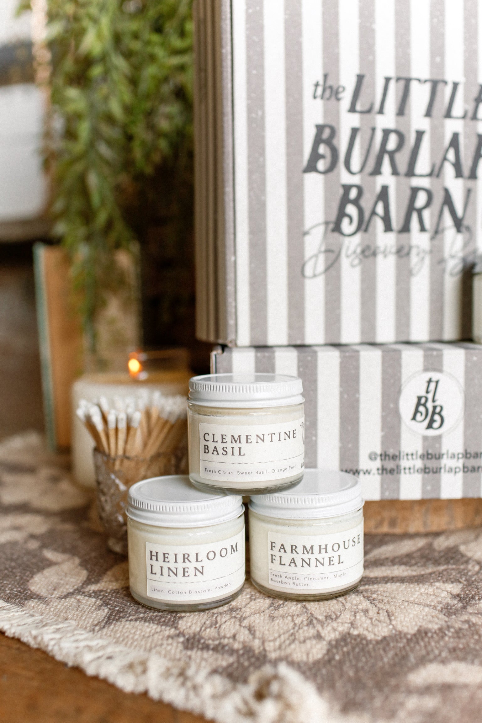 TLBB Candle Discovery Box