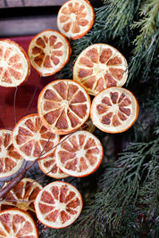Dried Orange Slice Branch