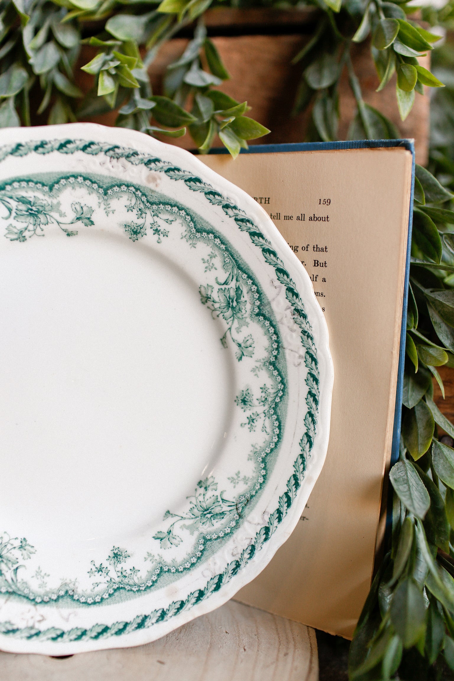 Vintage Windermere Plate