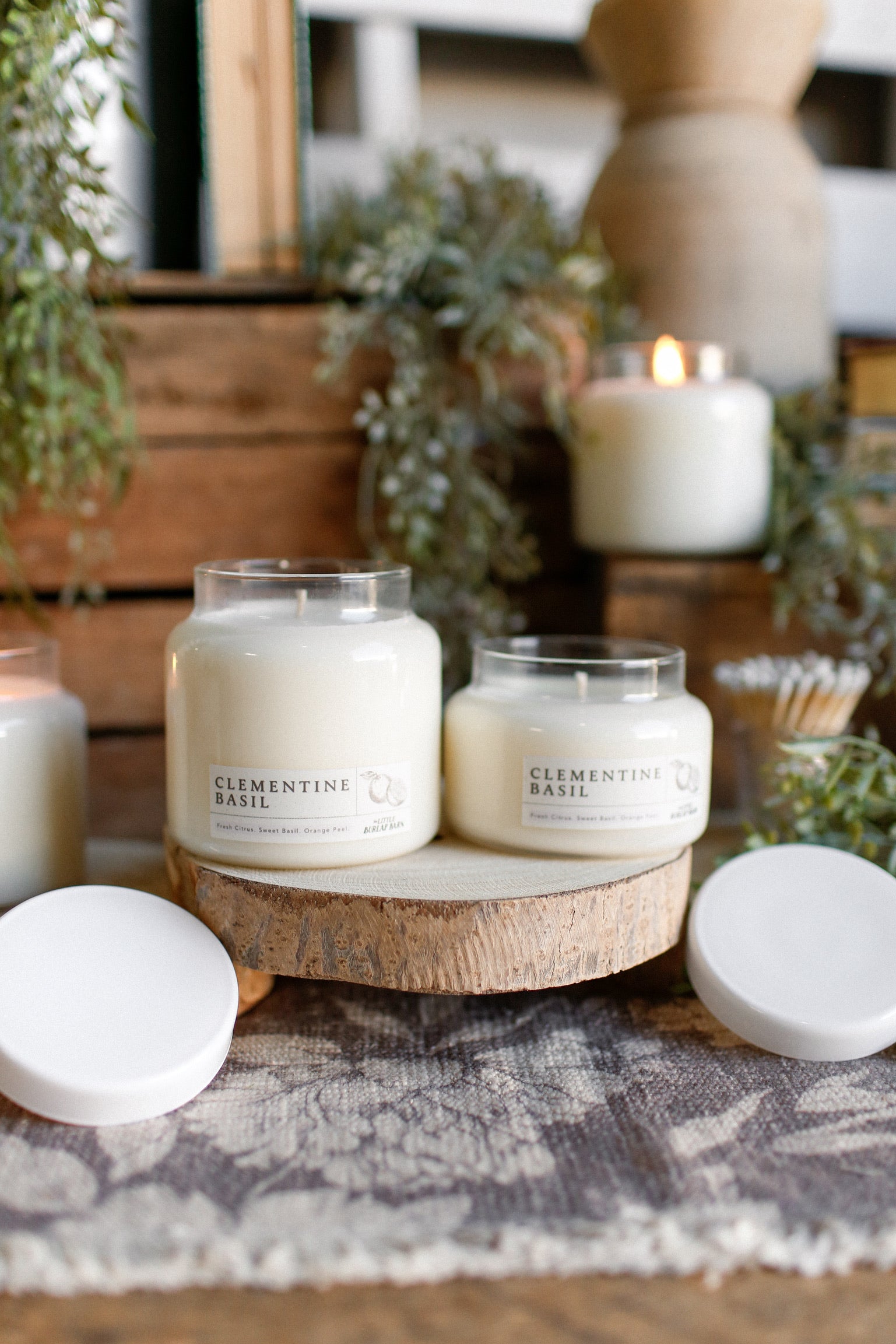 Apothecary Candle-Clementine Basil