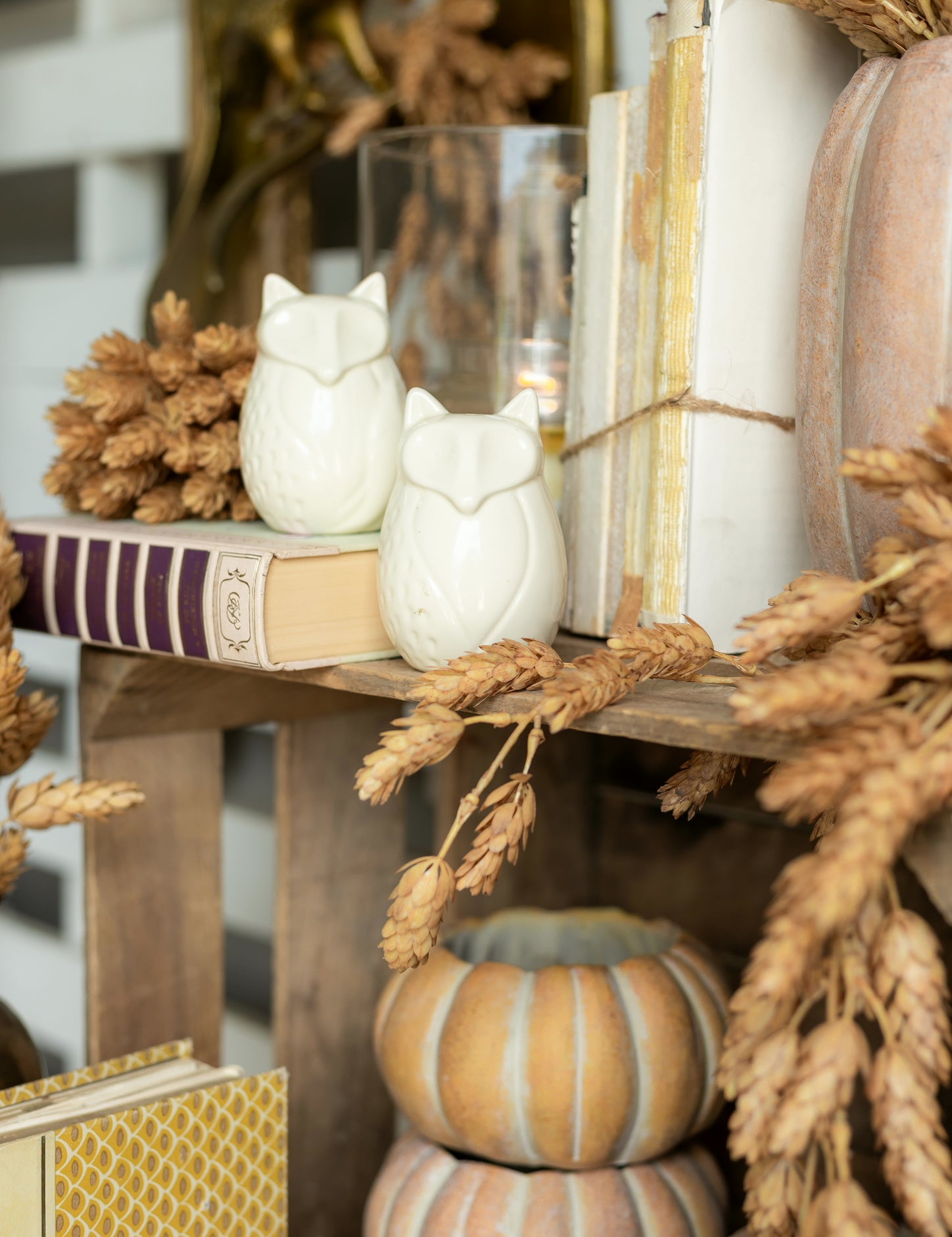 Vintage Fox Salt and Pepper Shakers The Little Burlap Barn®