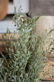Mixed Sage Bush