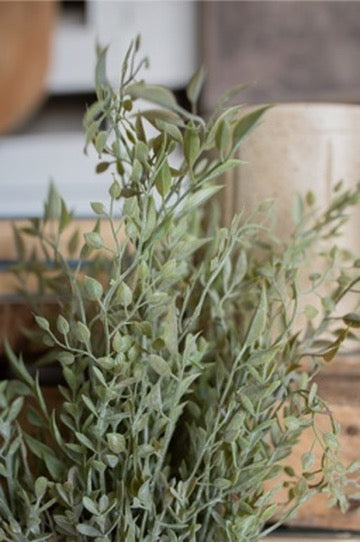 Mixed Sage Bush