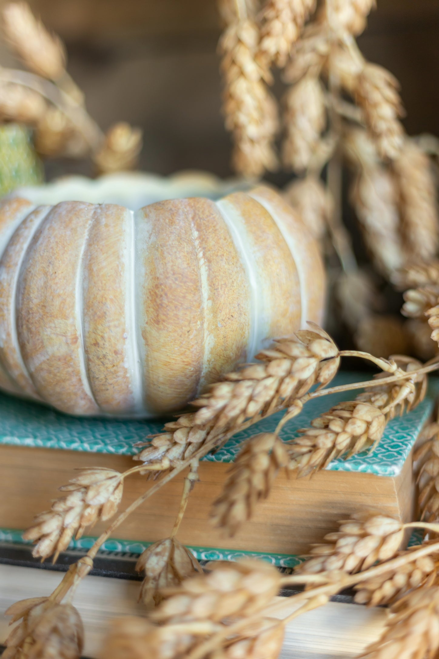 Cinderella Pumpkin Pot The Little Burlap Barn