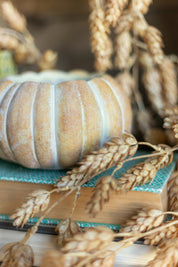 Cinderella Pumpkin Pot The Little Burlap Barn
