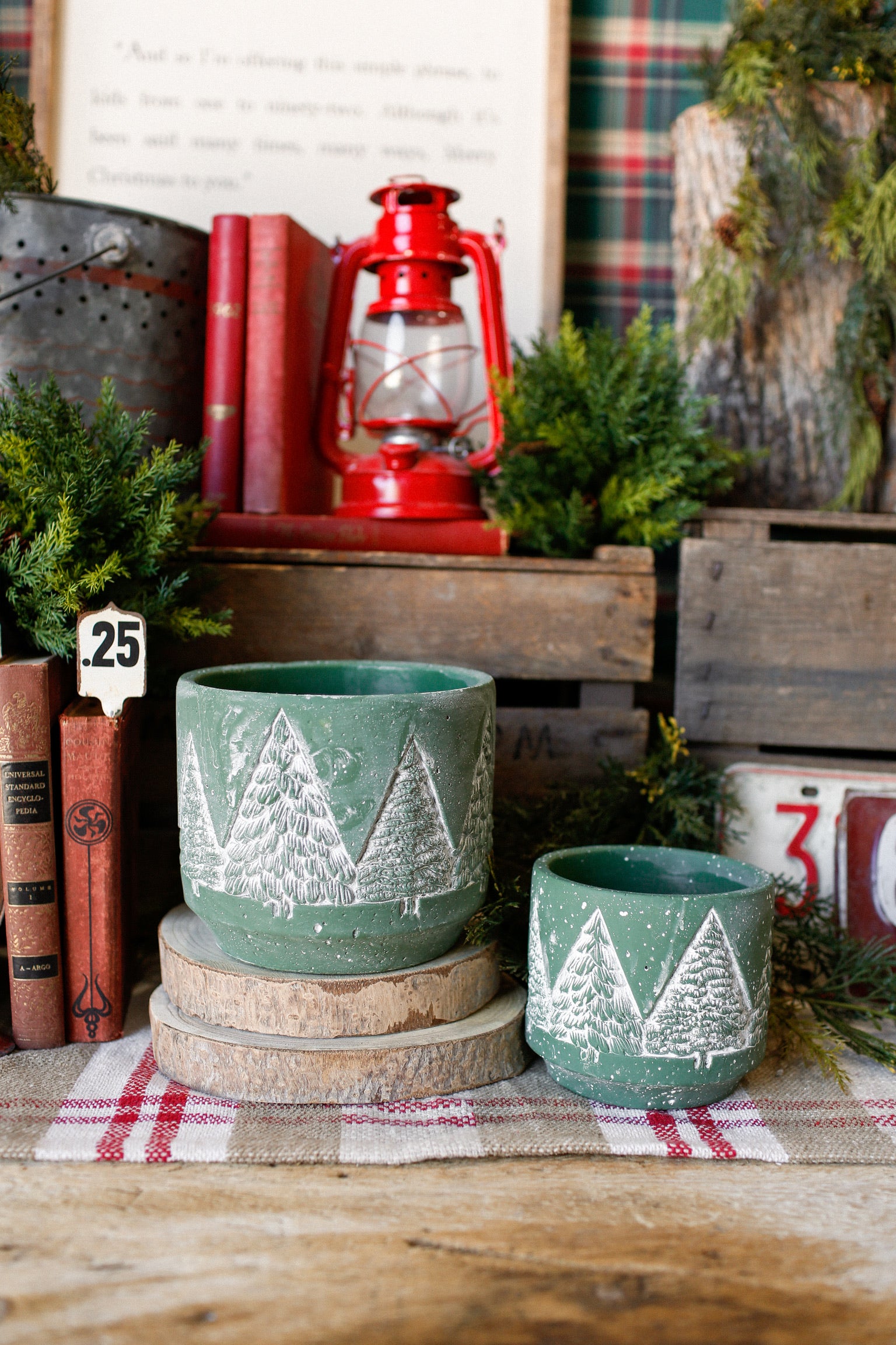 Concrete Evergreen Tree Pot