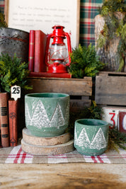 Concrete Evergreen Tree Pot