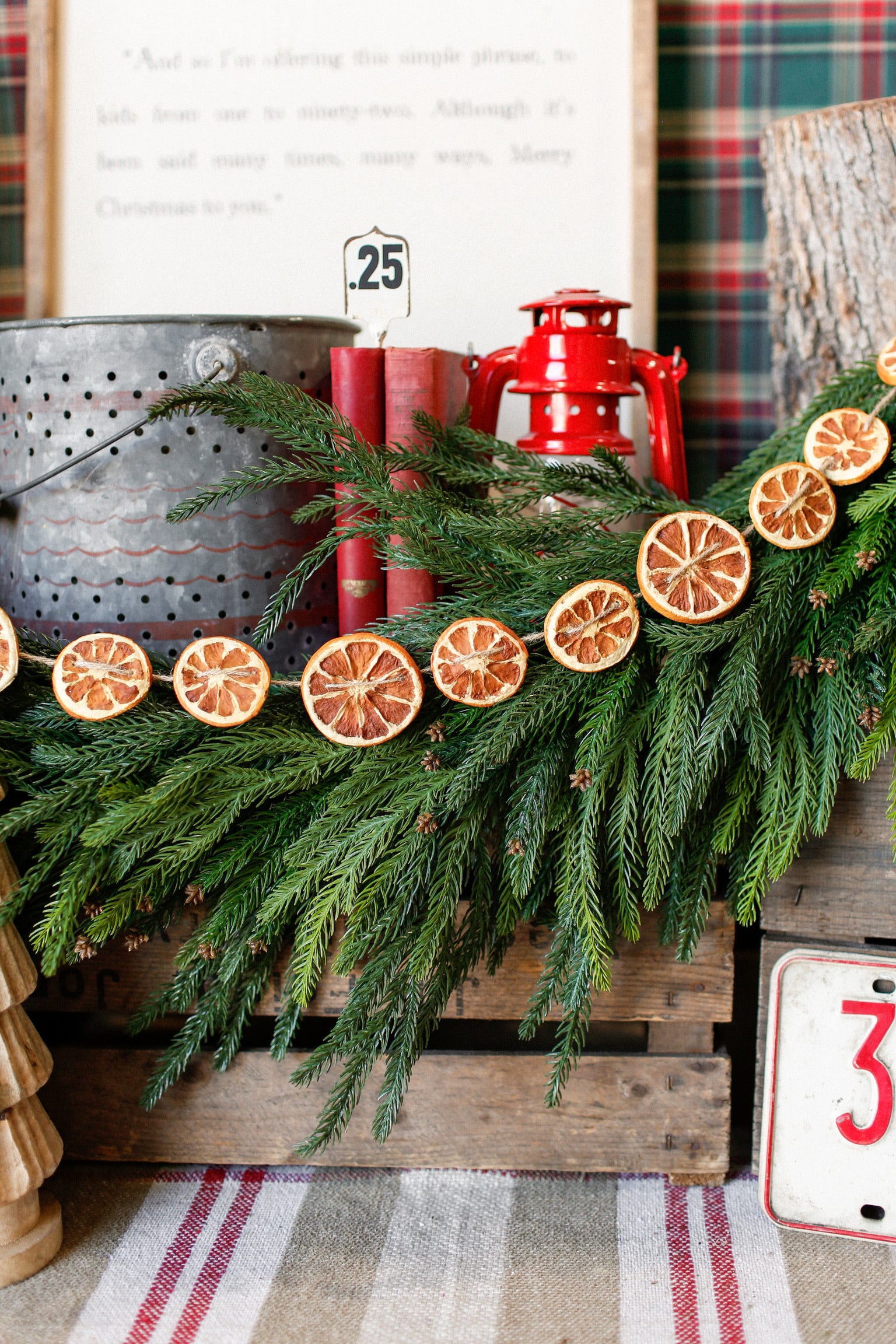 Dried Orange Slice Garland