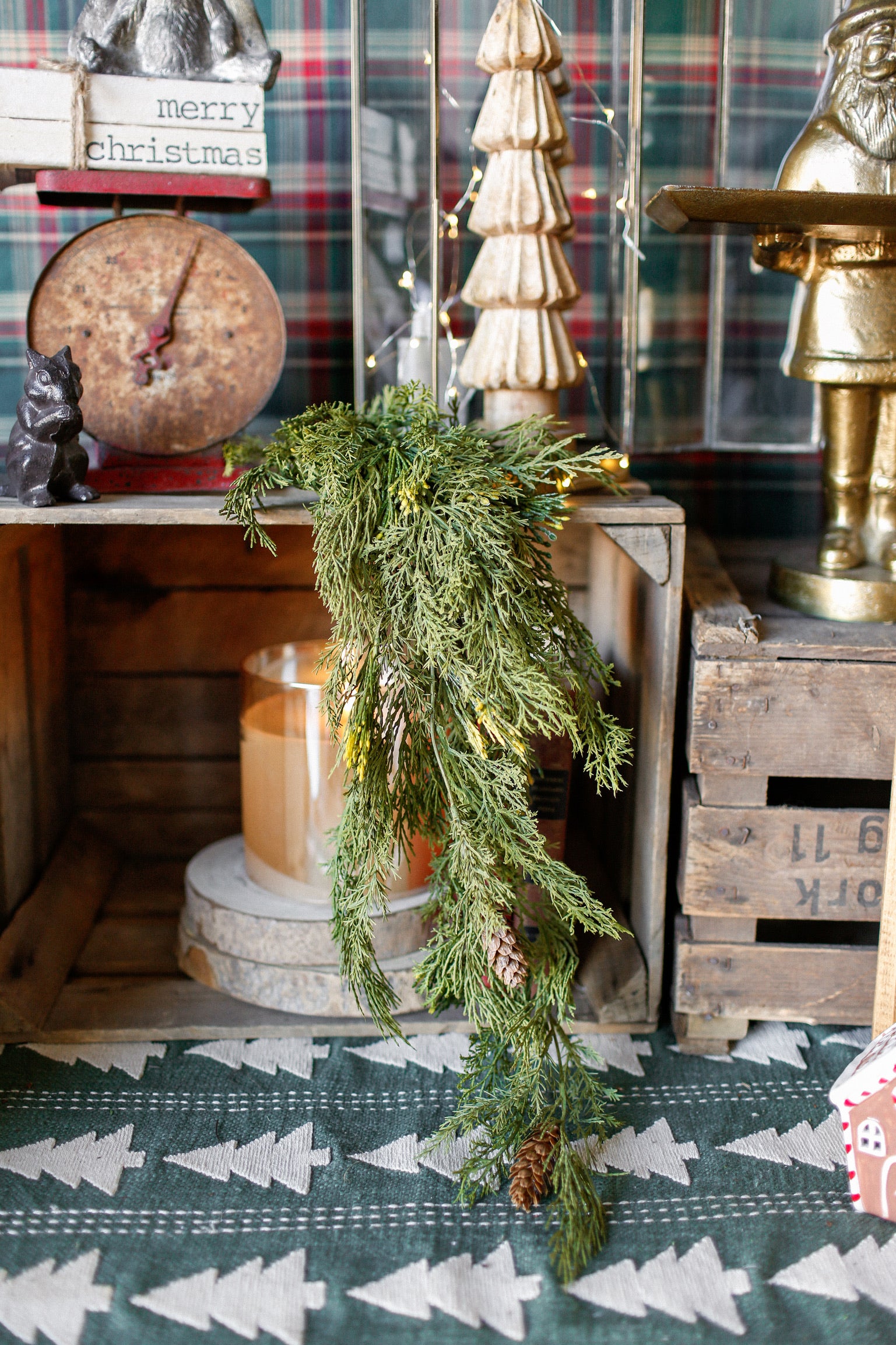 Alpine Cedar Hanging Stem