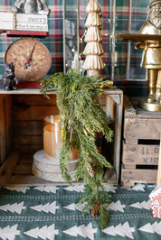 Alpine Cedar Hanging Stem