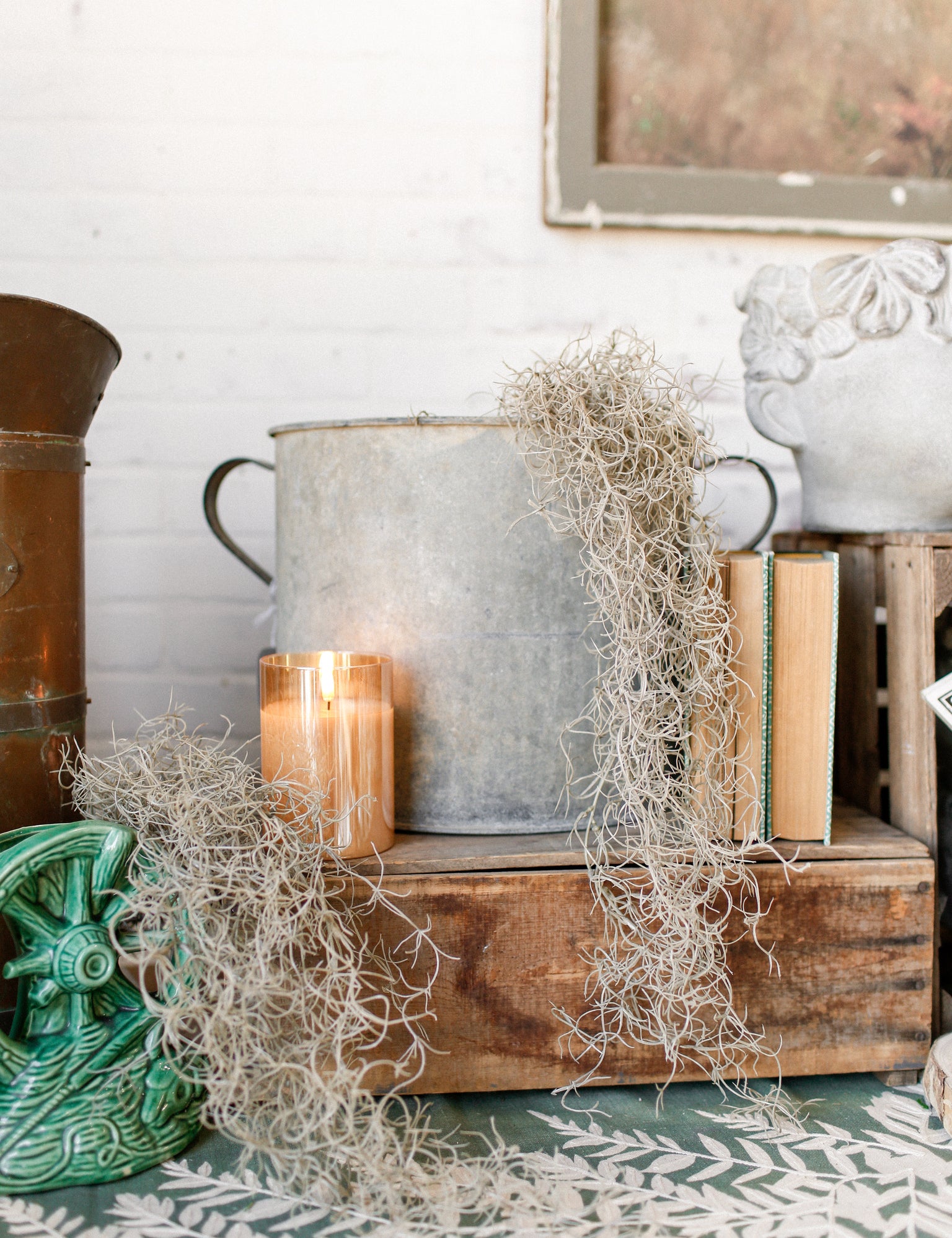 Spanish Moss Hanging Stem The Little Burlap Barn®