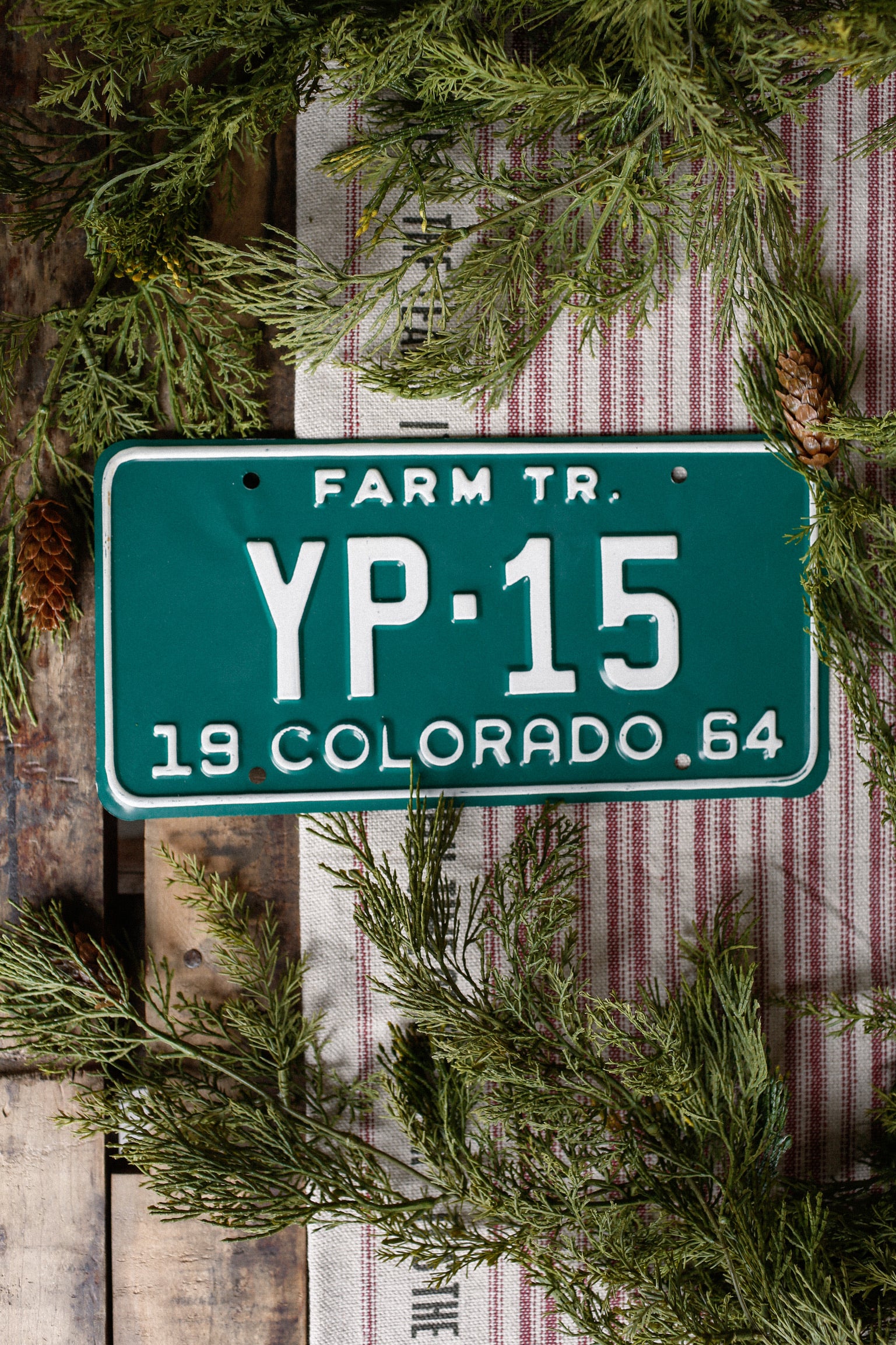 Vintage Green License Plate