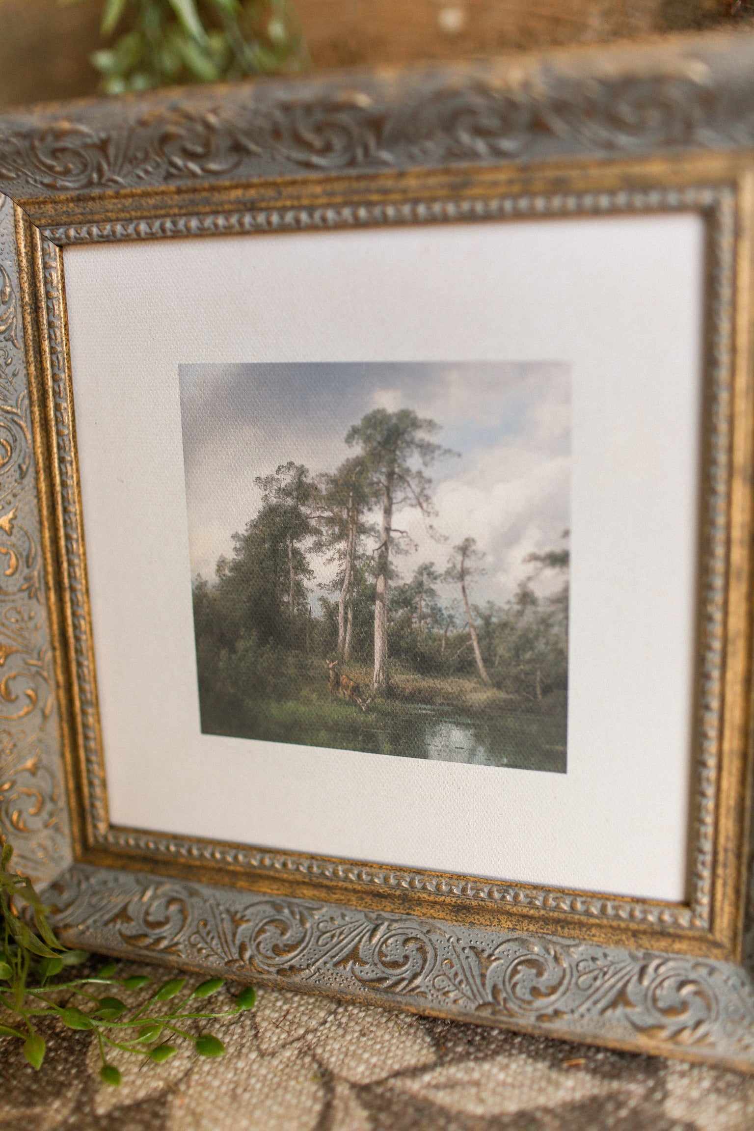 Live Oak Framed Art The Little Burlap Barn®