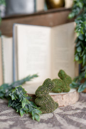 Mini Mossy Hare