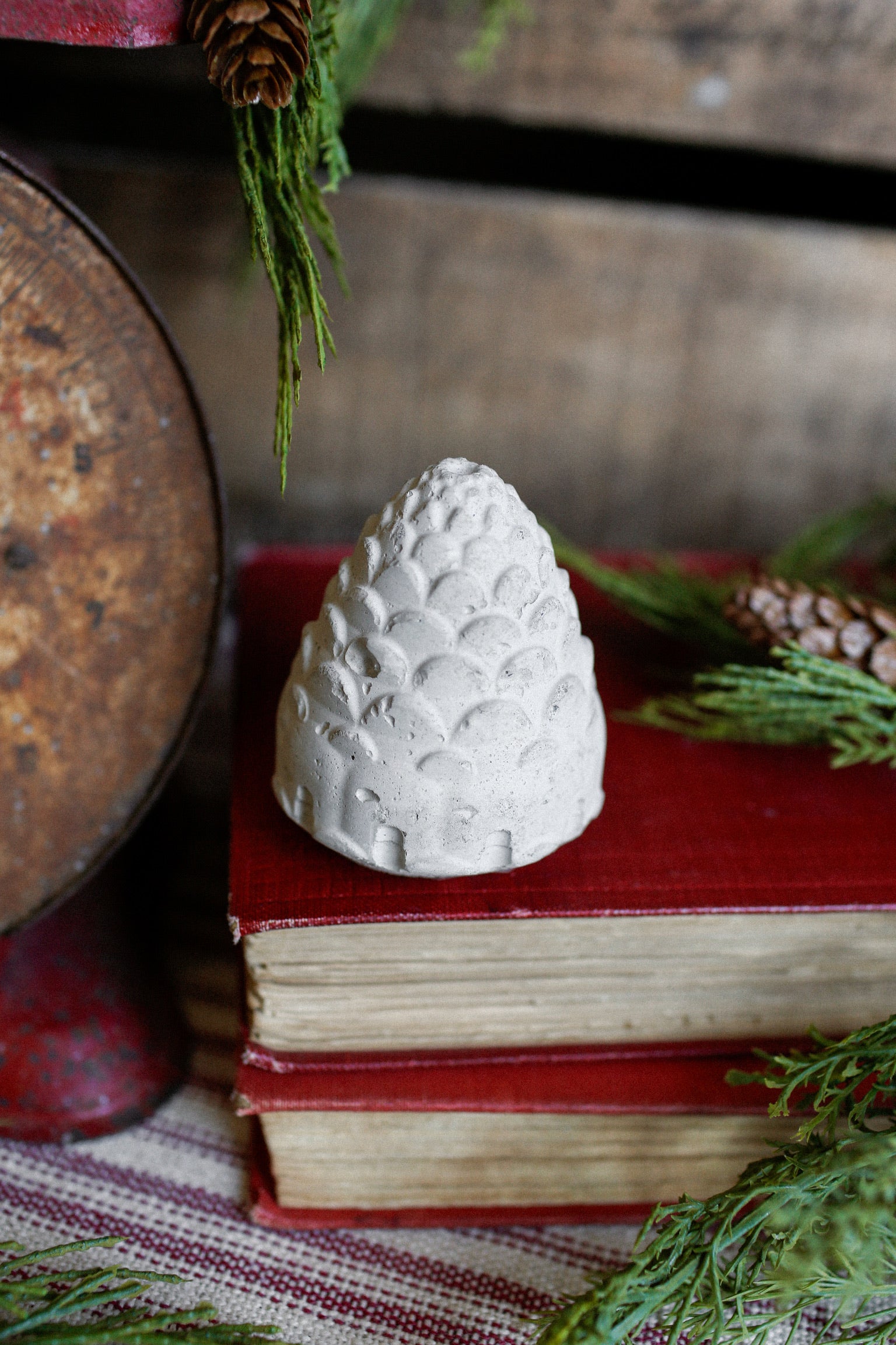 Concrete Pinecone