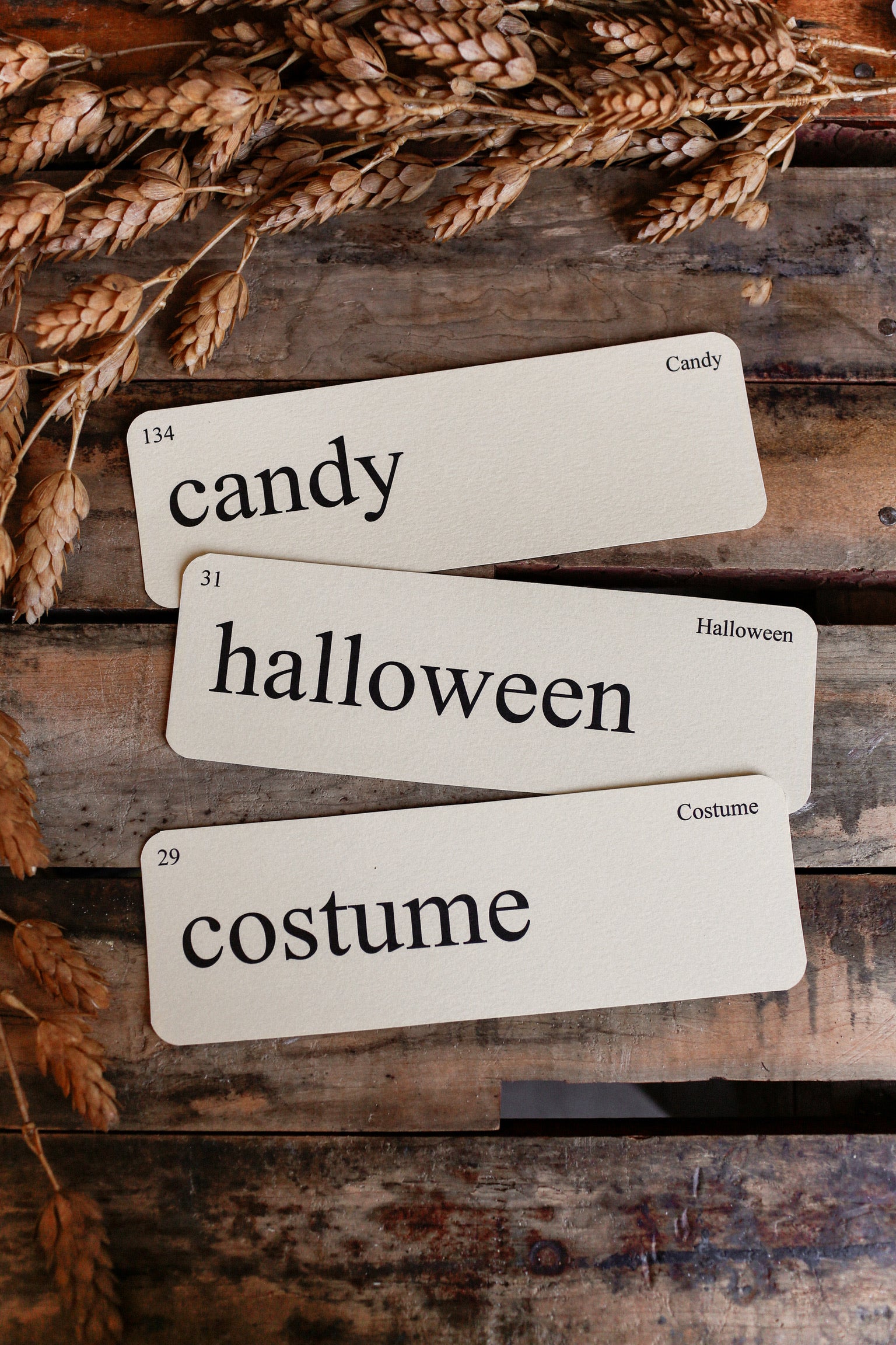 Halloween Flashcard
