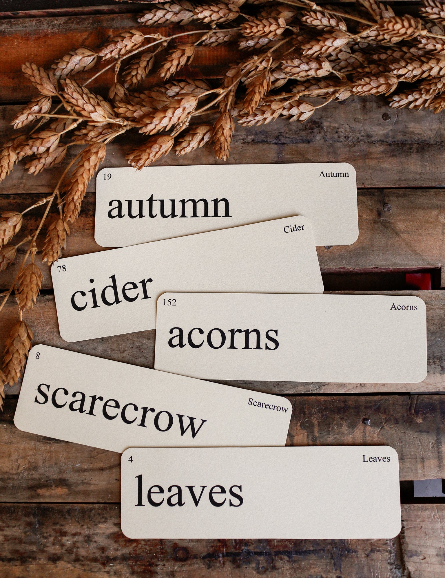 B181A5CE-5232-4B06-BEA8-120899E18EC5.jpg