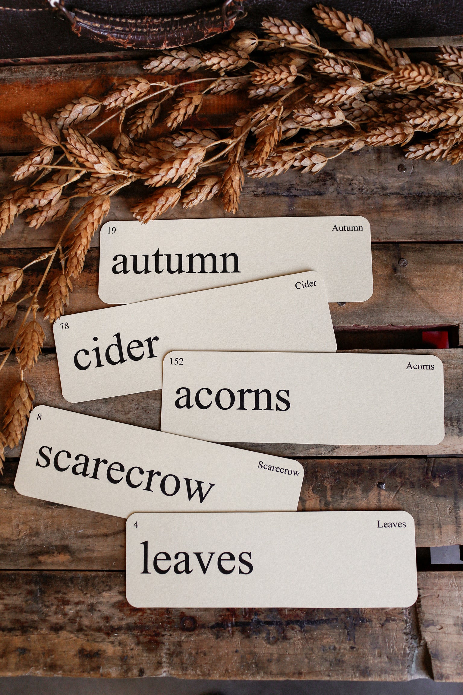 Autumn Flashcard