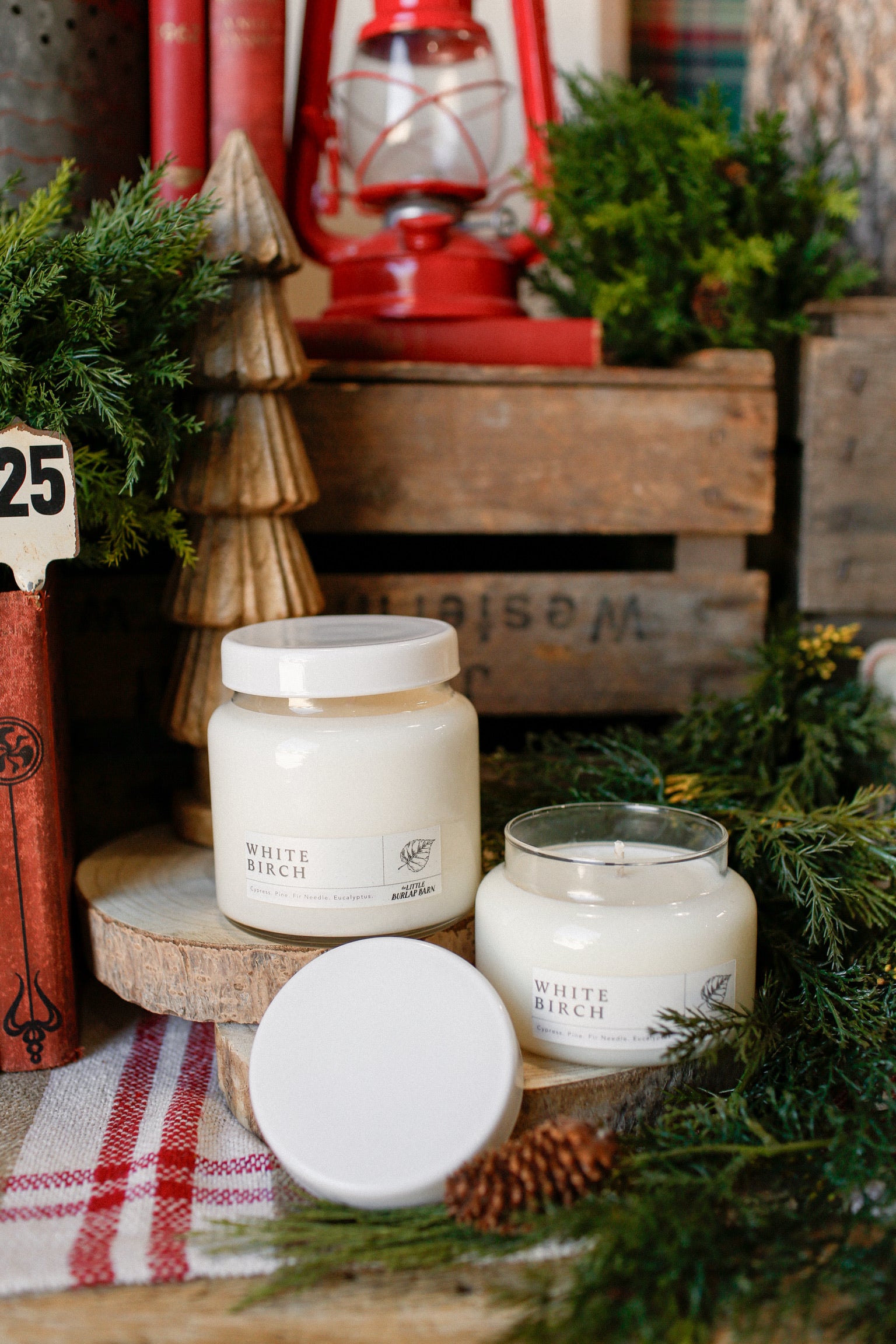 Apothecary Candle- White Birch