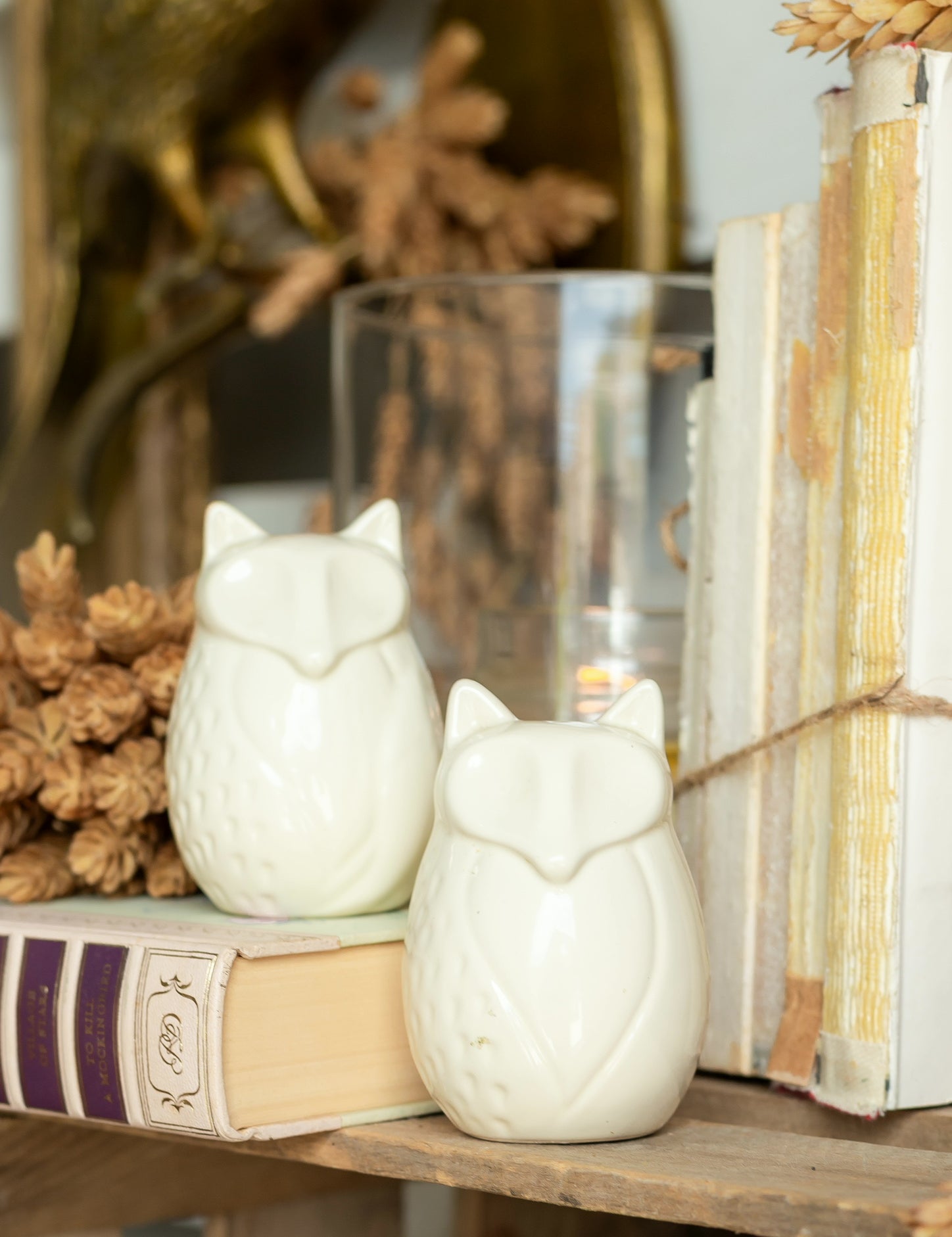 Vintage Fox Salt and Pepper Shakers The Little Burlap Barn®