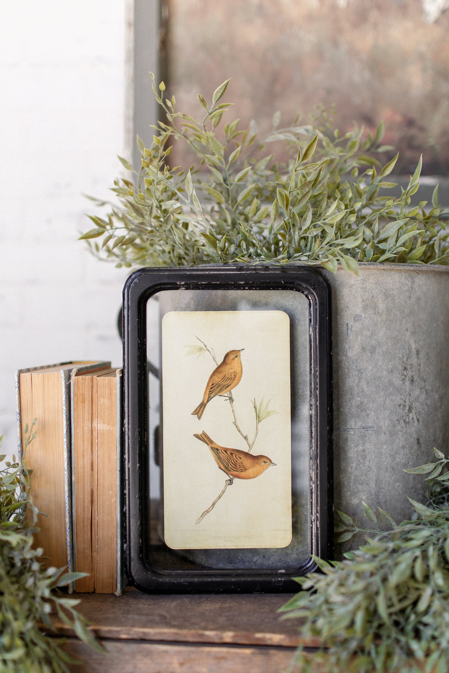 Bird Framed Picture The Little Burlap Barn®