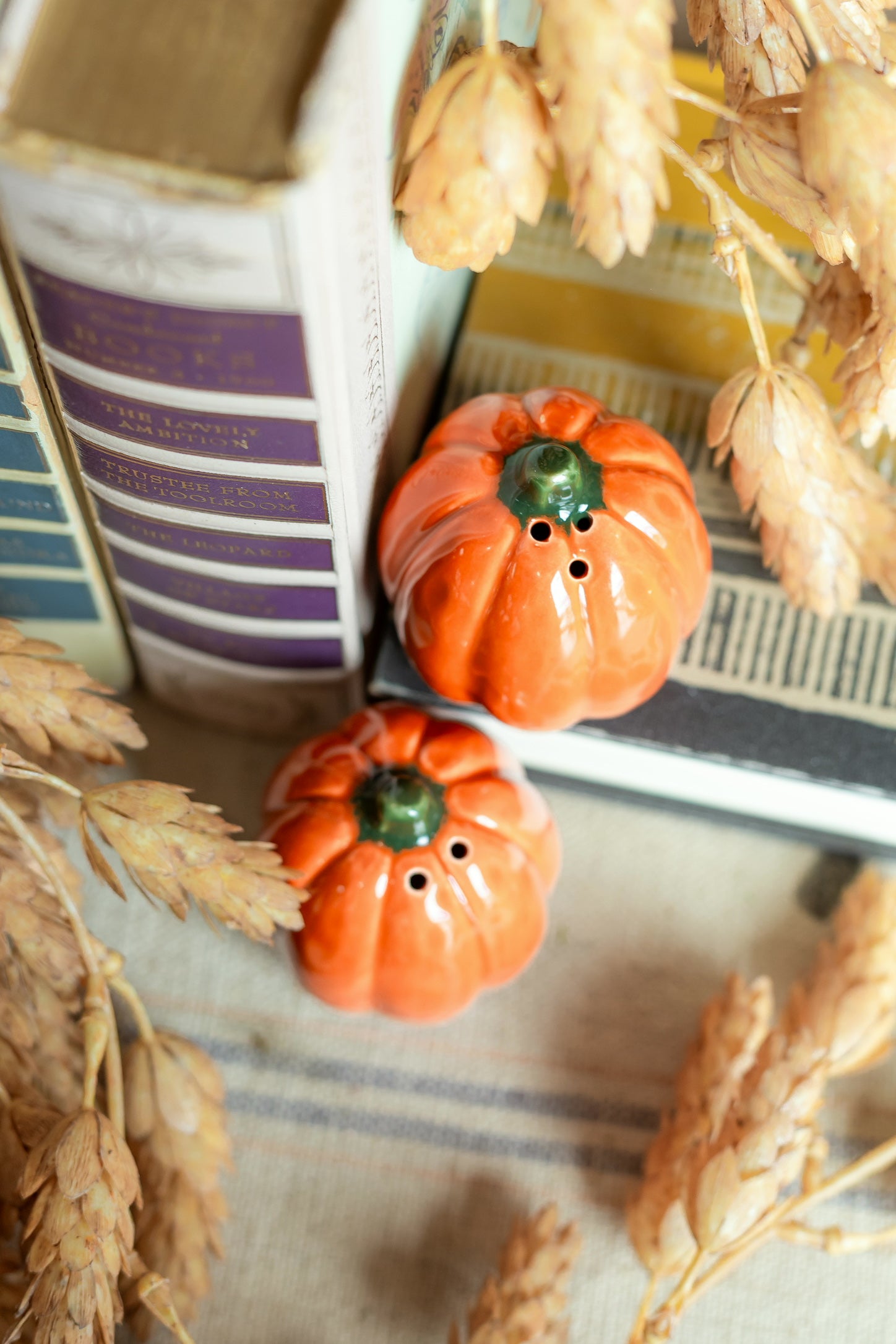 Pumpkin S+P Shakers The Little Burlap Barn®