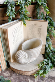 Nautilus Planter