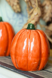 Pumpkin S+P Shakers The Little Burlap Barn®